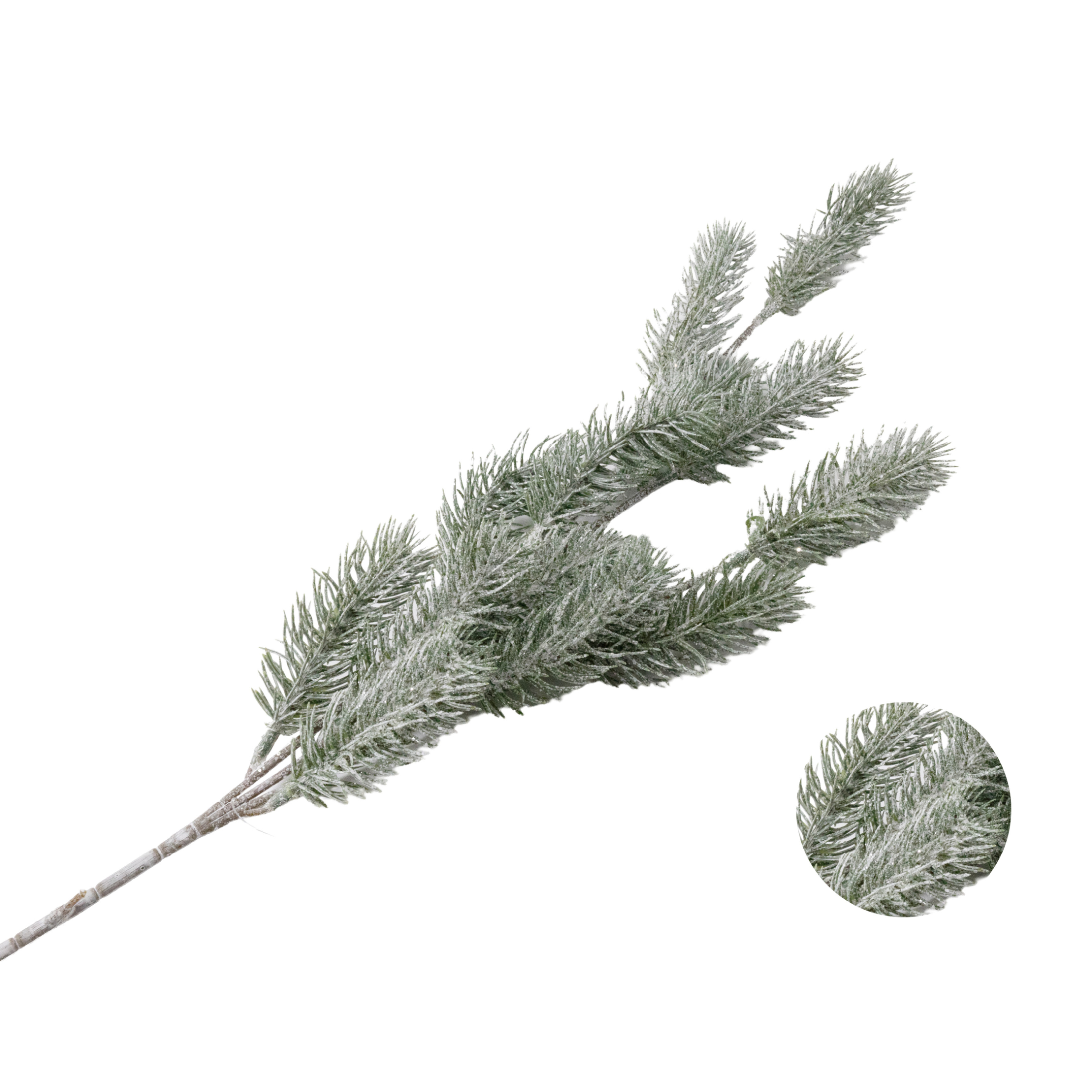 Рододендрон гибридный Кролова Бона